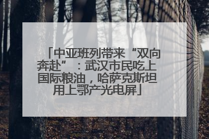 中亚班列带来“双向奔赴”：武汉市民吃上国际粮油，哈萨克斯坦用上鄂产光电屏